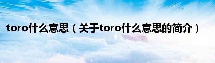 toro什么意思（關于toro什么意思的簡介）