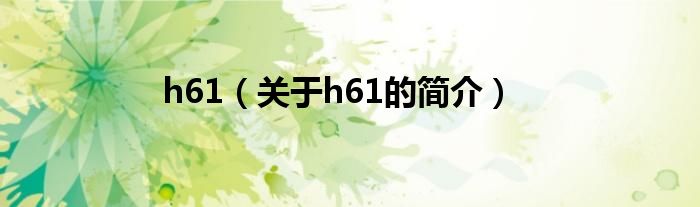 h61（關于h61的簡介）