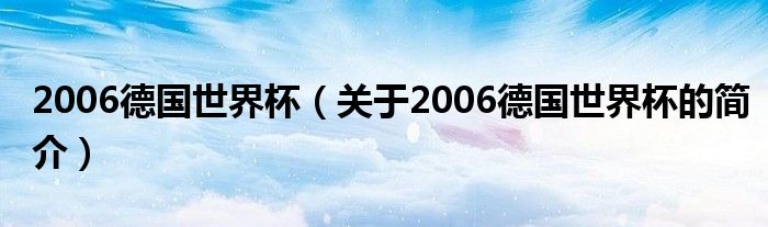 2006德國世界杯（關于2006德國世界杯的簡介）