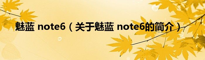 魅藍(lán) note6（關(guān)于魅藍(lán) note6的簡介）