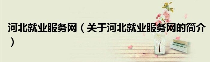 河北就業服務網（關于河北就業服務網的簡介）