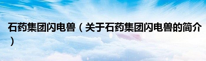 石藥集團(tuán)閃電獸（關(guān)于石藥集團(tuán)閃電獸的簡(jiǎn)介）