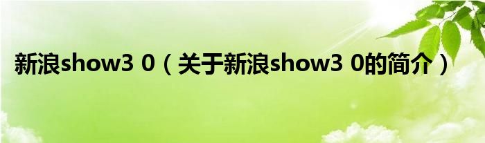 新浪show3 0（關于新浪show3 0的簡介）