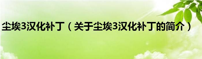 塵埃3漢化補丁（關(guān)于塵埃3漢化補丁的簡介）