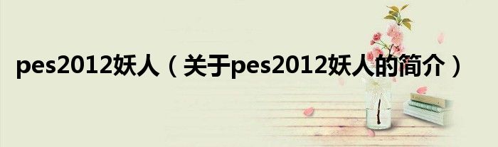 pes2012妖人（關于pes2012妖人的簡介）