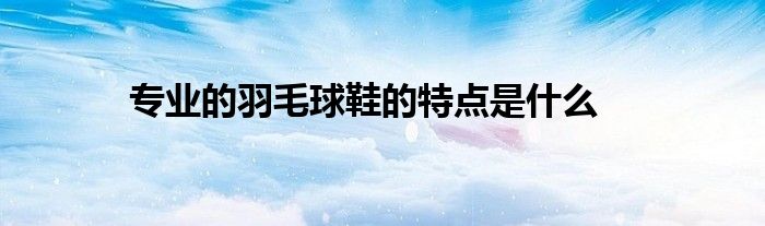 專業的羽毛球鞋的特點是什么