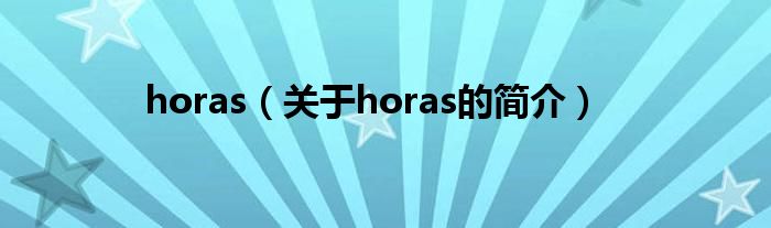 horas（關于horas的簡介）