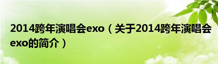 2014跨年演唱會exo（關于2014跨年演唱會exo的簡介）