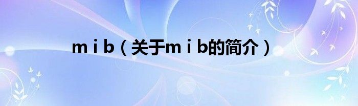 m i b（關(guān)于m i b的簡(jiǎn)介）