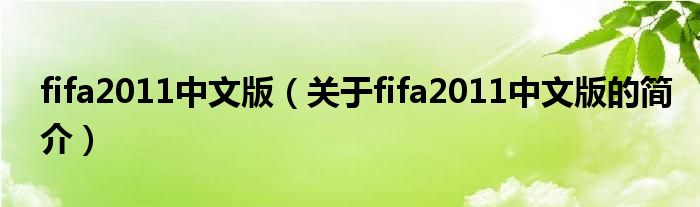 fifa2011中文版（關于fifa2011中文版的簡介）
