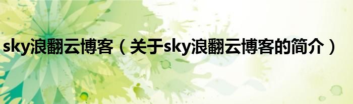 sky浪翻云博客（關于sky浪翻云博客的簡介）