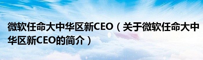 微軟任命大中華區新CEO（關于微軟任命大中華區新CEO的簡介）