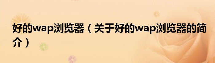 好的wap瀏覽器（關(guān)于好的wap瀏覽器的簡介）
