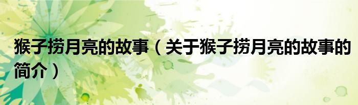 猴子撈月亮的故事（關(guān)于猴子撈月亮的故事的簡(jiǎn)介）