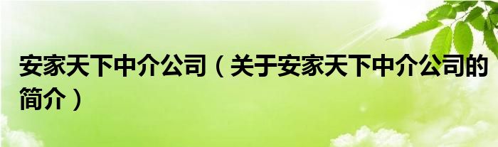 安家天下中介公司（關于安家天下中介公司的簡介）