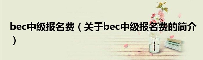 bec中級報名費（關于bec中級報名費的簡介）