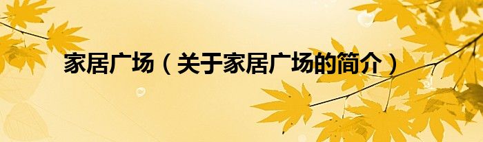 家居廣場（關(guān)于家居廣場的簡介）
