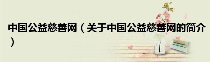 中國公益慈善網（關于中國公益慈善網的簡介）