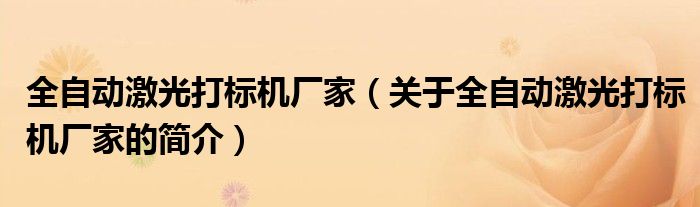 全自動激光打標機廠家（關于全自動激光打標機廠家的簡介）
