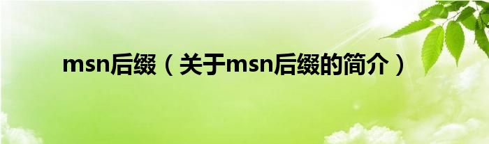 msn后綴（關于msn后綴的簡介）