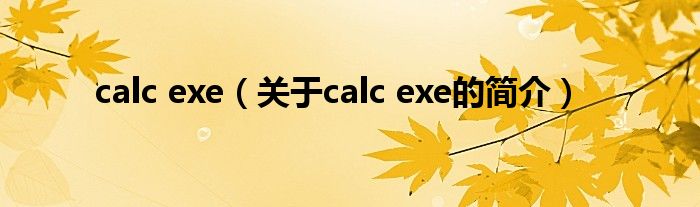 calc exe（關于calc exe的簡介）