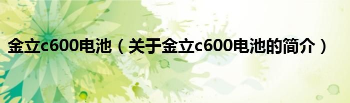 金立c600電池（關于金立c600電池的簡介）