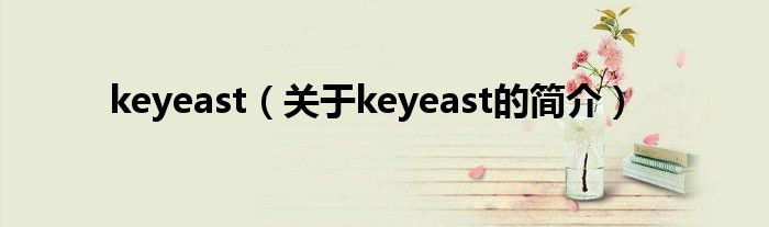 keyeast（關于keyeast的簡介）