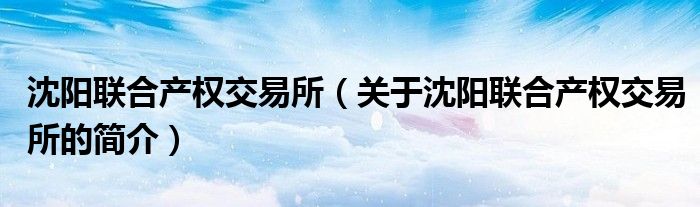 沈陽聯合產權交易所（關于沈陽聯合產權交易所的簡介）