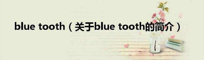 blue tooth（關于blue tooth的簡介）