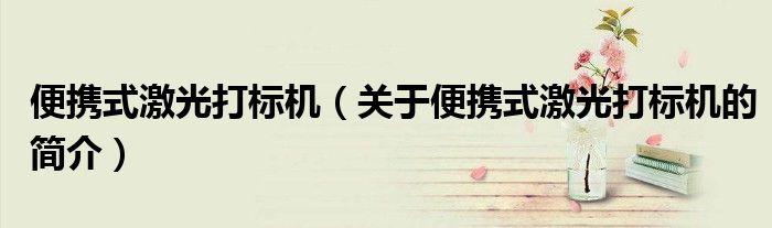 便攜式激光打標機（關于便攜式激光打標機的簡介）