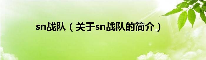 sn戰隊（關于sn戰隊的簡介）