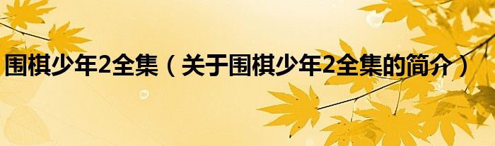 圍棋少年2全集（關于圍棋少年2全集的簡介）