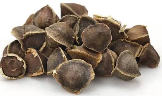 辣木籽有哪些功效？