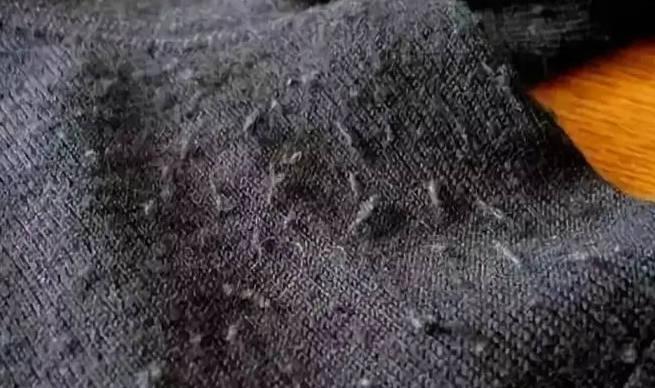 清除衣服上毛屑的簡(jiǎn)單方法有哪些？