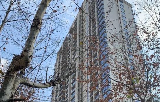 上海中介小哥：去年團隊只成交4~5套房，提成或超過160萬（每平方單價突破30萬元）