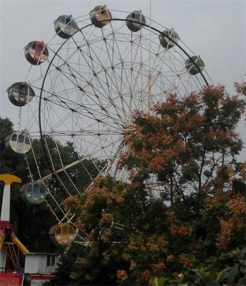 合肥全市景區(qū)暫停室外游樂(lè)設(shè)施運(yùn)行，防范強(qiáng)降雨帶來(lái)的安全風(fēng)險(xiǎn)！