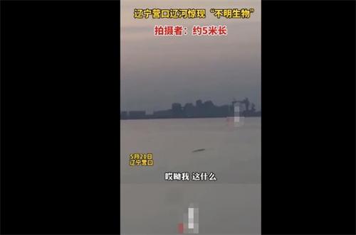 神秘物體現身遼河引發圍觀，長達5米令人猜測