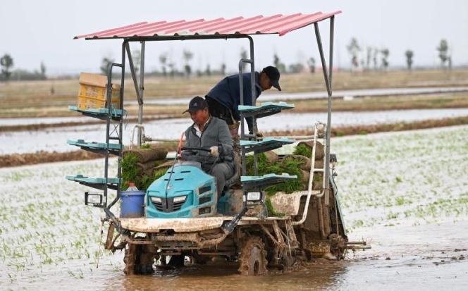 多地發布高溫預警，今夏“極端高溫”會再來襲嗎？