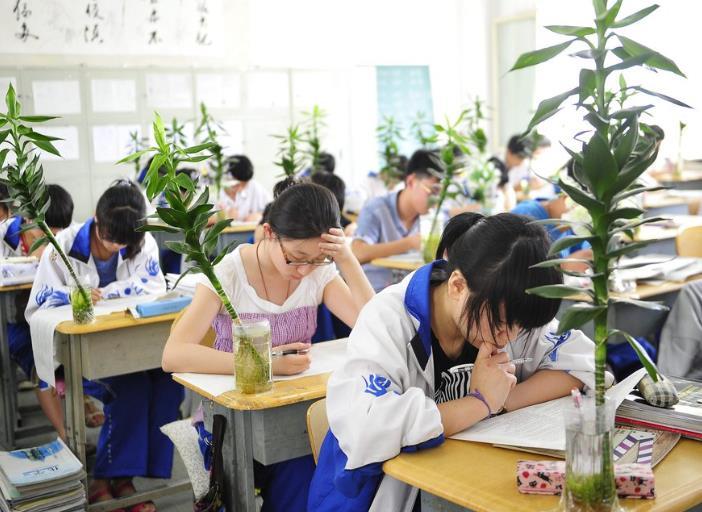 江西吉安遂川二中高考英語聽力考試出現卡頓問題，引發關注