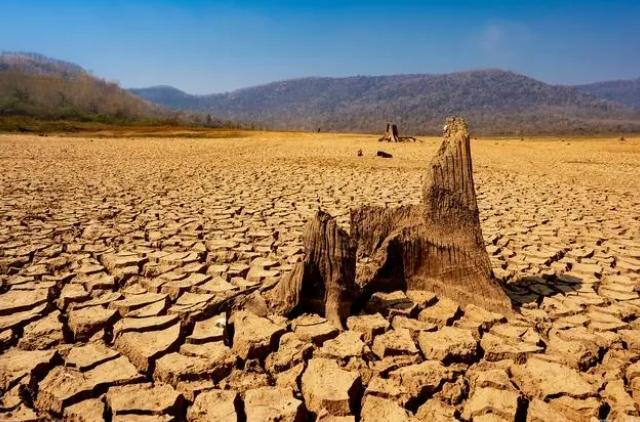 荒漠化防治：保護地球與維護人類生存和發展的重要使命