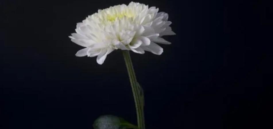 公安部原副部長趙永吉同志逝世，享年78歲