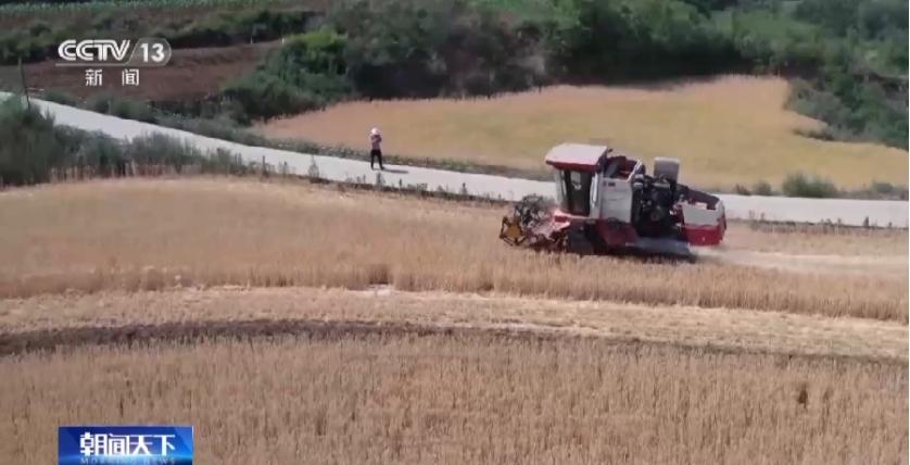 全國“三夏”時節農業生產有序推進，小麥收獲進度超過七成半