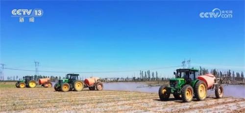 科技助力高溫下棉花豐產：新疆瑪納斯縣應對炎熱挑戰