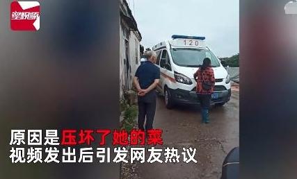 湖北荊州救護車被阻攔引發爭議，急救與財產損失如何平衡？