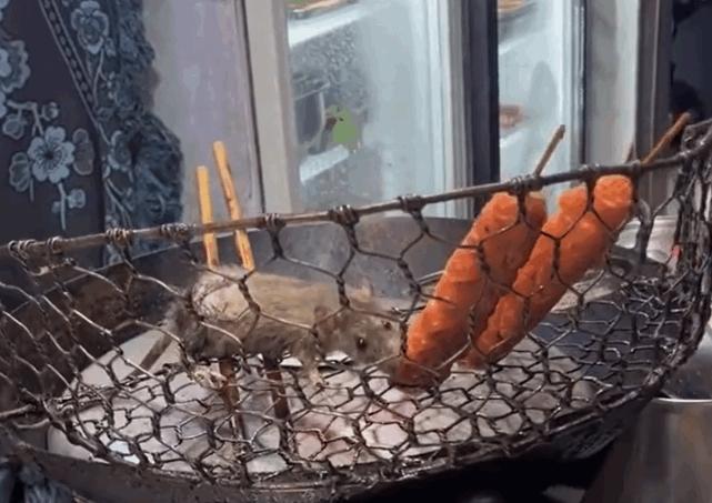 揭露炸串店老鼠啃食香腸事件：引發(fā)網(wǎng)友關(guān)注，食品安全亟待解決！