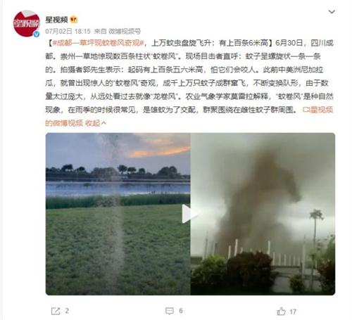 成都崇州現萬只蚊蟲盤旋飛升的奇特景象：蚊卷風引發關注與好奇
