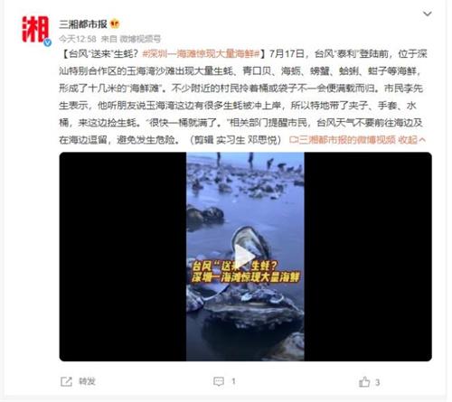 臺風“泰利”帶來豐盛海鮮，深圳玉海灣沙灘成“海鮮灘”