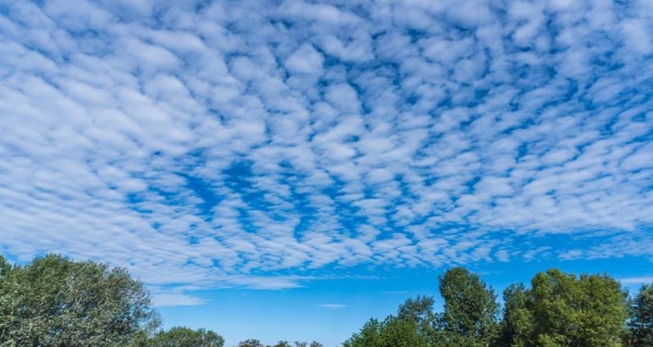 山東德州5.5級地震引發爭議，江蘇現象引發熱議