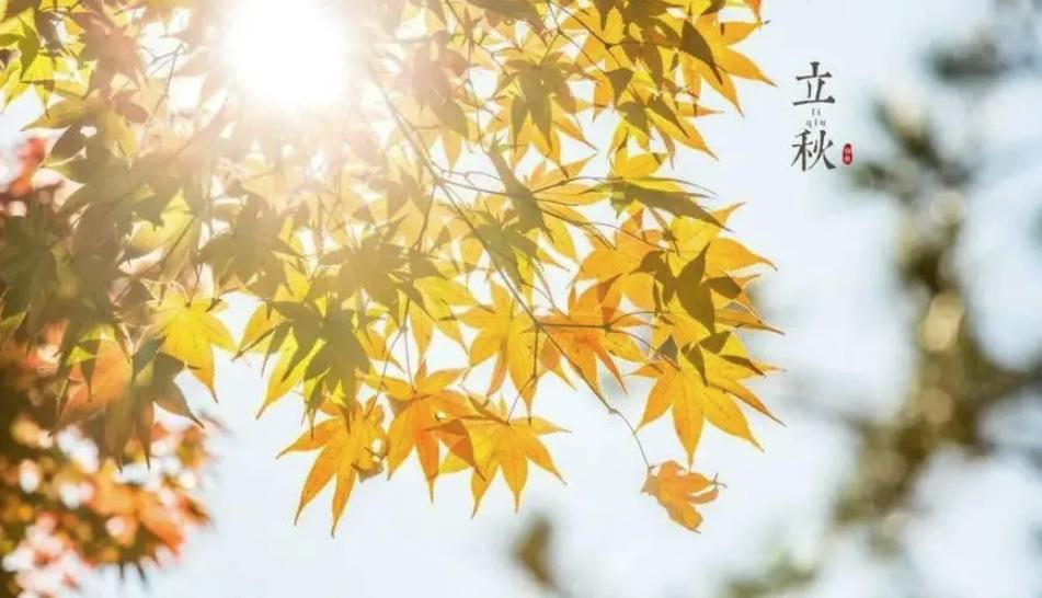 立秋不代表酷熱終結(jié)！全國盼秋涼地圖看哪里暑熱將消