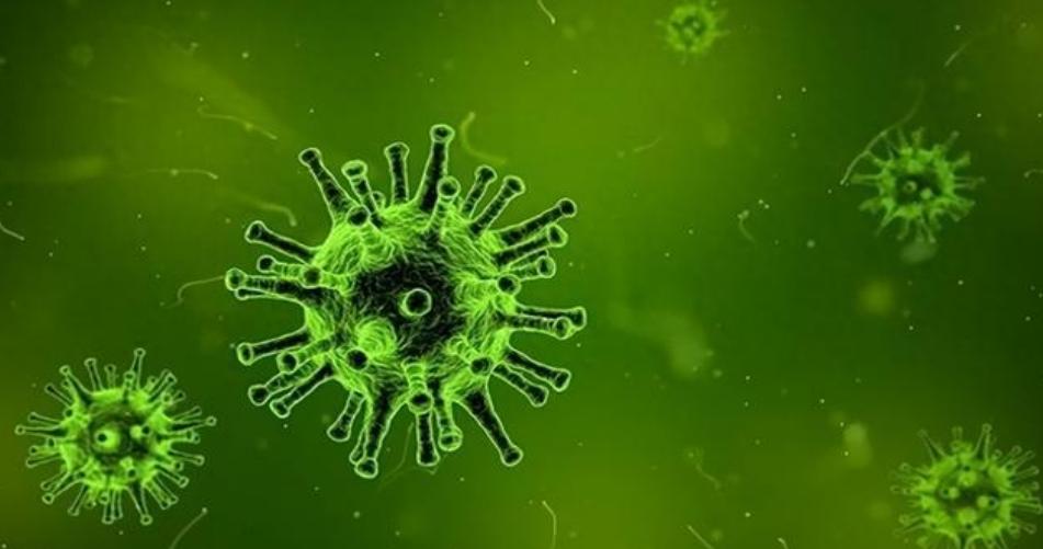 世衛組織總干事發出警告：應對未知病原體“X疾病”做好準備